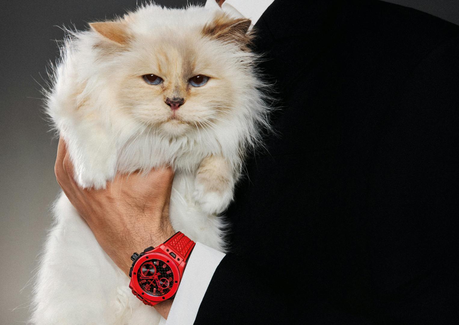 Hublot ad social