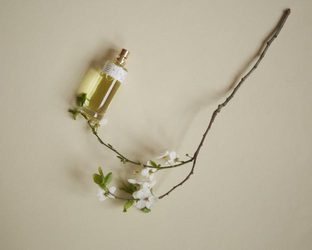 Ffern perfume