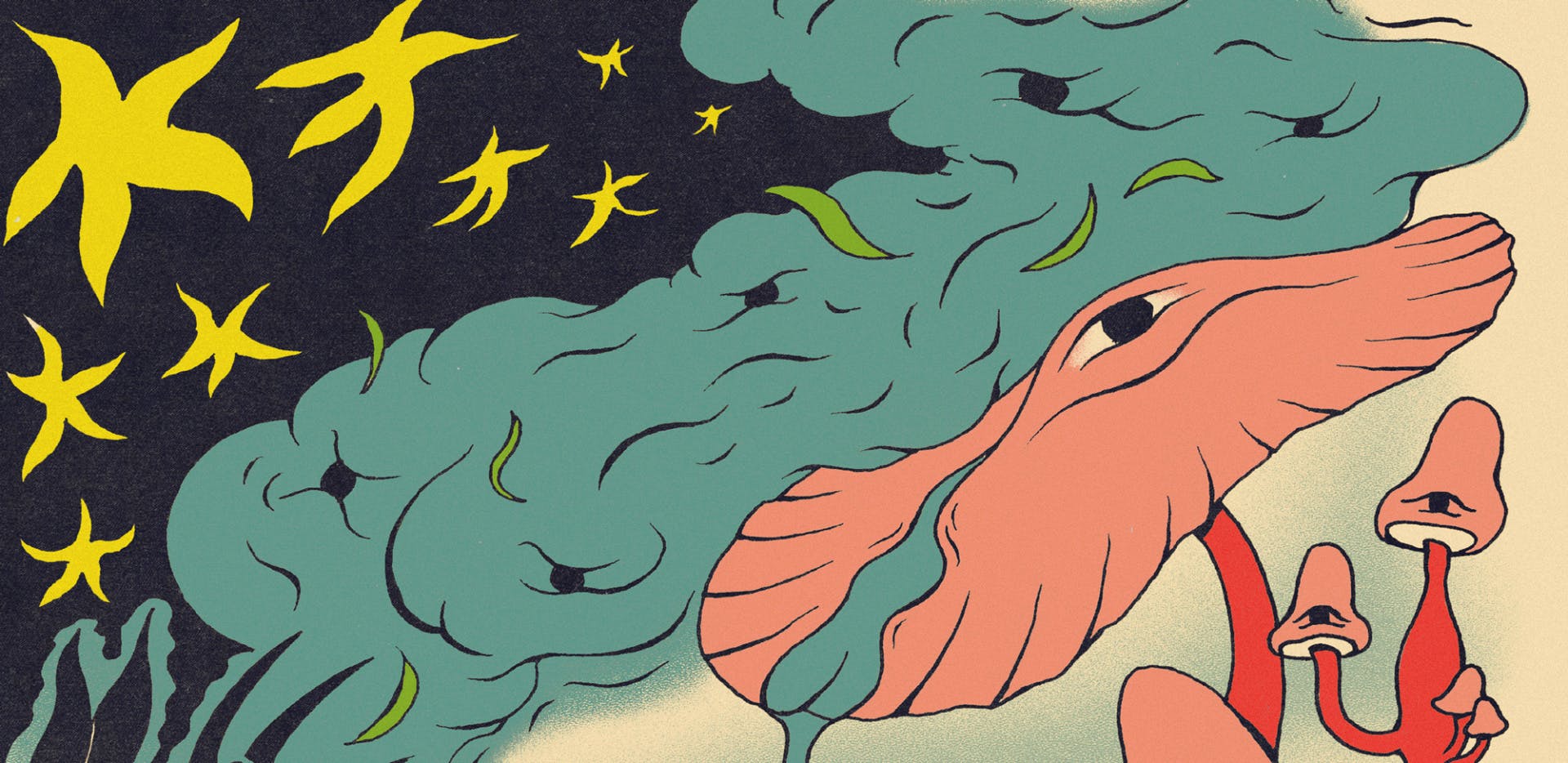 Anaïs Rallo designer and illustrator