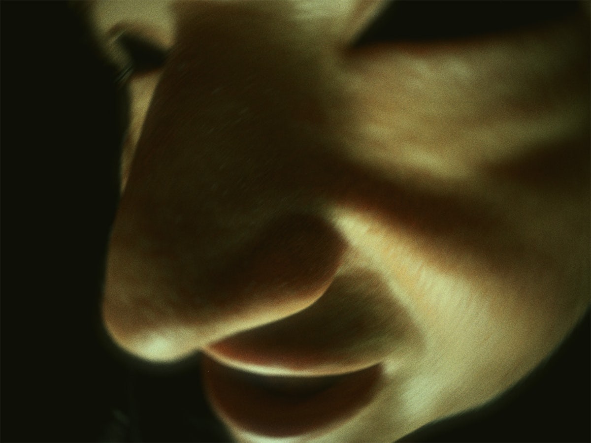 Still from Squid's music video Building 650 showing a close up shot of a face from an angle that warps the face slightly