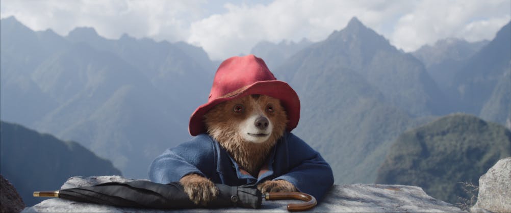 Paddington Dougal Wilson