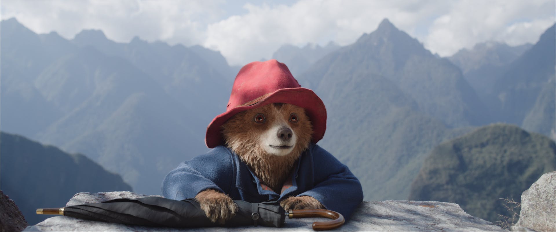 Paddington Dougal Wilson