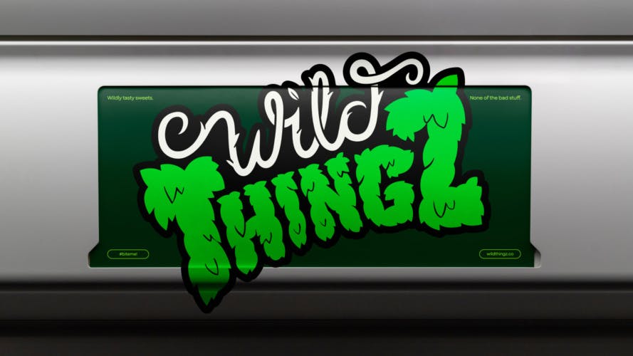 A poster featuring the name 'Wild Thingz' written in a typeface inspired by vining plants